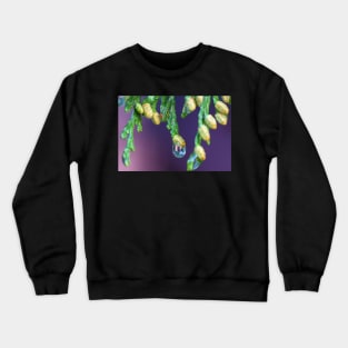 Cedar Buds Crewneck Sweatshirt